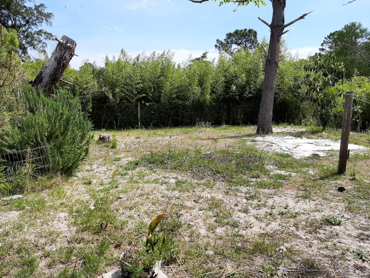 Propiedad para la venta Pinamar Norte - Imagen 3